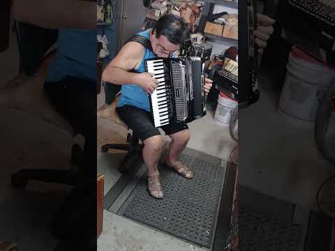 Accordiana Demonstration 120 bass Medium size accordion