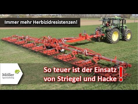 Mechanische Unkrautbekämpfung mit Striegel und Hacke - selber machen | Lohnunternehmer machen lassen