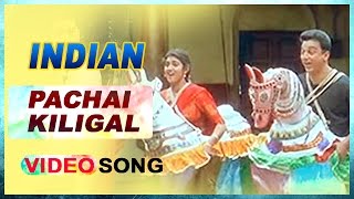 Pachai Kiligal Video Song  Indian Tamil Movie  Kam