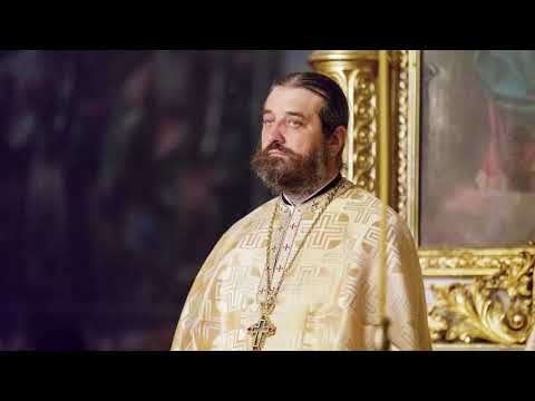 „Să ne sfințim gândurile și mișcările” ‒ Arhim. Nichifor Horia