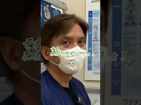 ワクチン接種を受けた犬はパルボウイルスに感染しますか?