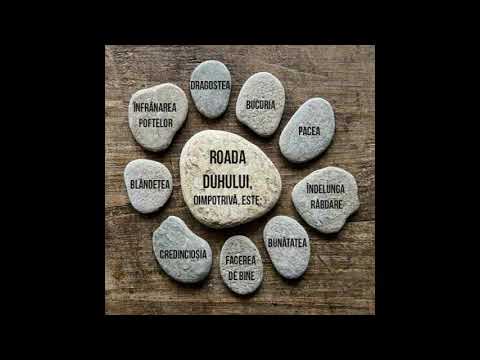 MIHAI  PETRICA  COLAJ  DE  MUZICA  CRESTINA VECHE