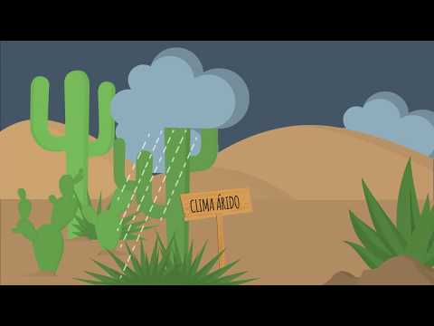 ¿Cuál es la diferencia entre clima y estado del tiempo?