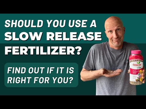 Should You Use a Slow Release Fertilizer like Osmocote? What About Soil With Fertilizer In It?