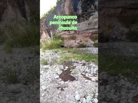 En las orillas del lago Titicaca. #churo #chucuito#puno #viralshort