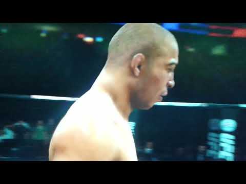 JOSÉ ALDO VS JEREMY STEPHENS UFC CALGARY