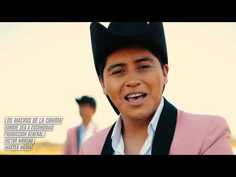 LOS MACHOS DE LA CUMBIA  - AUNQUE SEA A ESCONDIDAS   (VIDEO OFICIAL 2020)