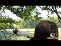 Craziest Turkey Hunt Ever Mossy Oak Blooper