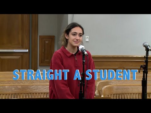 成績優異的學生 (Straight-A Student)