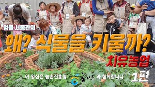 우리는 왜 식물을 키워야 하나? 