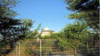 Fight Or Flight Instrumental (Face to Face)