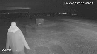 Chupps Auction Attempted Robbery