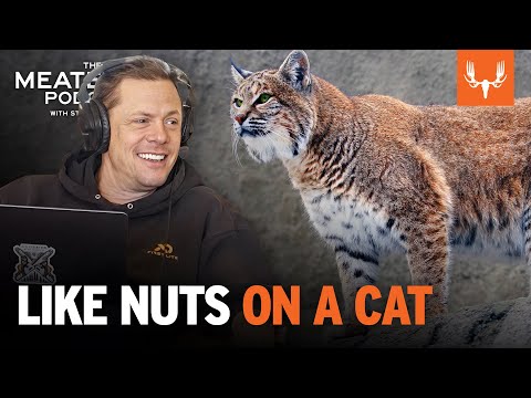 MeatEater Podcast Network and MeatEater