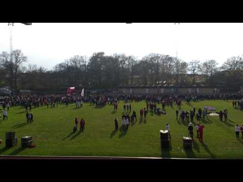 Blodomloppet 5km start 2013