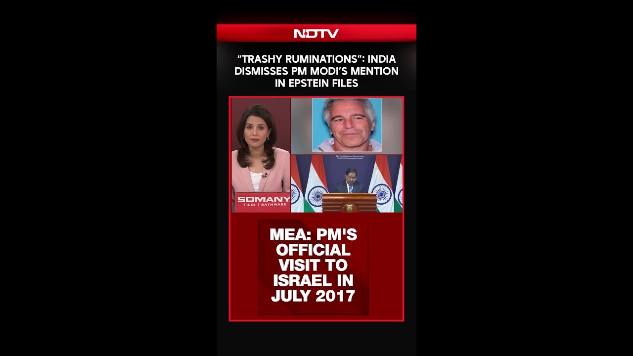 "Trashy Ruminations By Convicted Criminal": India On PM's Mention In Epstein Files