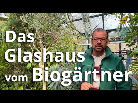 Das Glashaus des Biogärtners