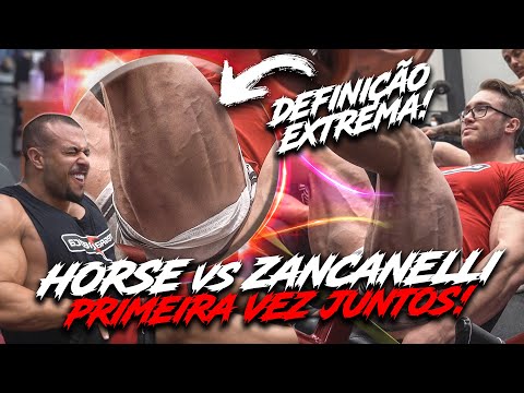 ZANCA ESTÁ FIBRADO | HORSE COM FOCO TOTAL!
