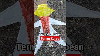 Download lagu Tes Terbang Layangan Bebean Paling Keren Kreasi Haydin 🤩🪁 #shorts #diy #fyp #viral #trending mp3 Download lagu Tes Terbang Layangan Bebean Paling Keren Kreasi Haydin 🤩🪁 #shorts #diy #fyp #viral #trending mp3