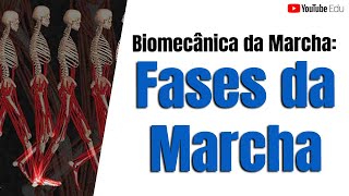FASES DA MARCHA E ASPECTOS CLÍNICOS - Biomecânica com o Prof. Rogério Souza