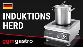 (2 pcs) Réchaud à induction à poser - 5kW - 1 foyer
