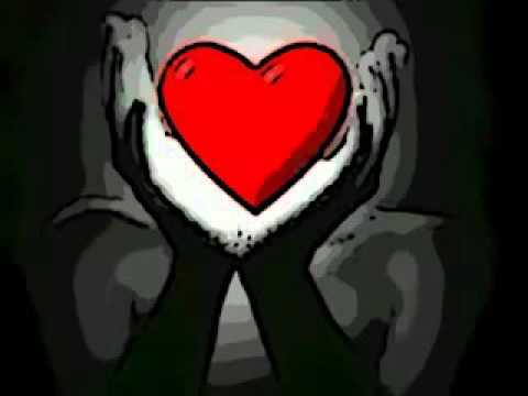 Pacificadores/ Nossa Historia 💕