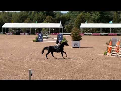 Olympic Air video 5