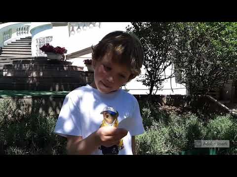 Kreativno pero - Cambridge International School - Easter activities in our school