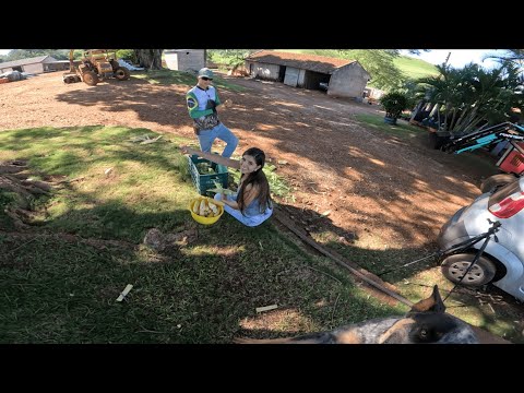 Lida de rotina e ainda saiu bolo de milho na roça (roçavlog)