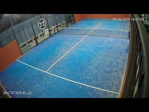 Sintetico el 22 - Carlos Tejedor
