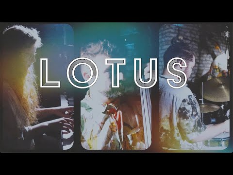 Maraal Trio - Lotus (Live-Session)
