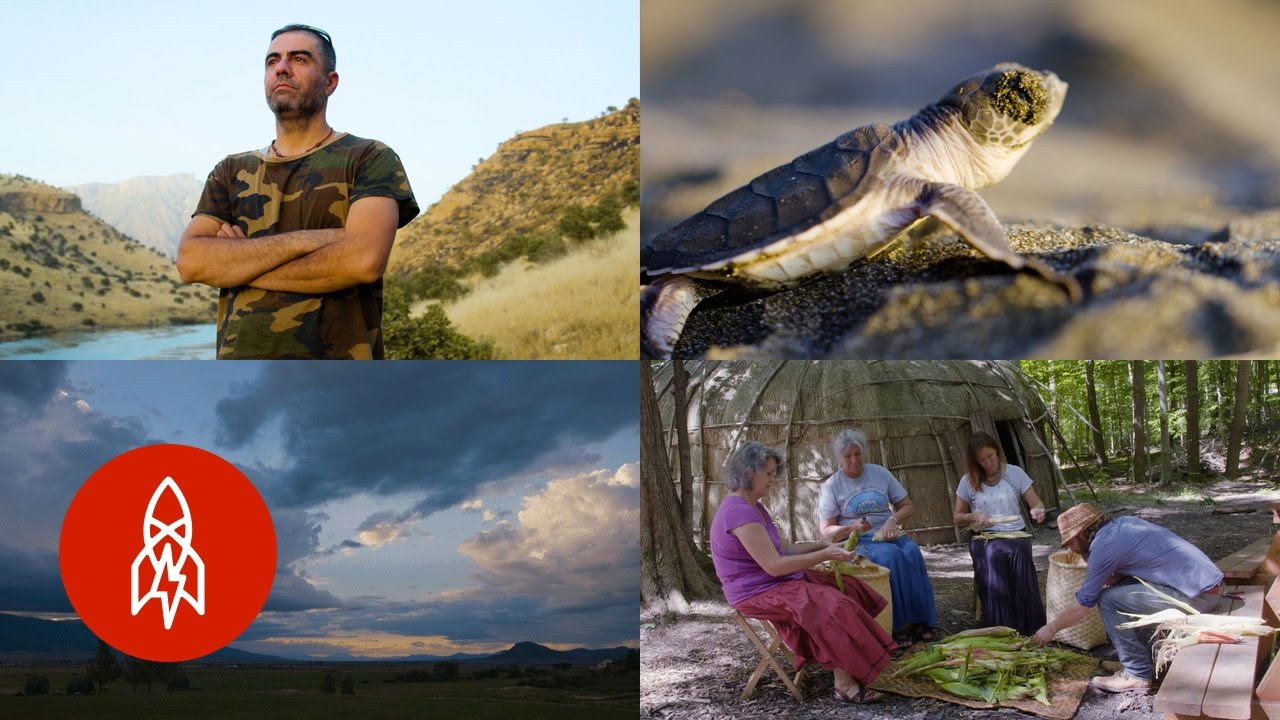 Taking Local Action to Combat Global Problems