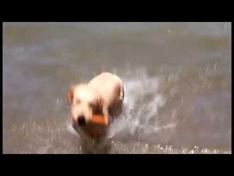 30 Giugno 2014 La Poppi al Lago di Pusiano