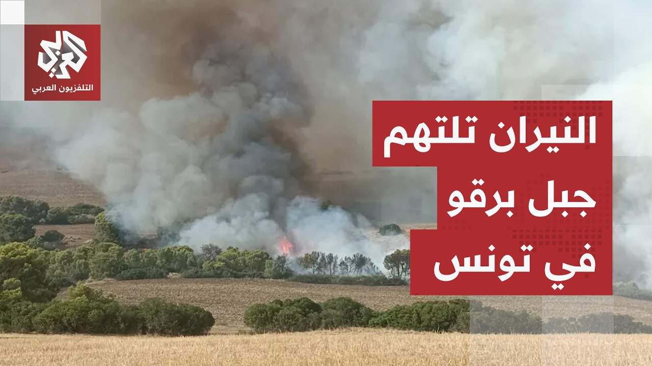 تجدد النيران بفعل الرياح وإجلاء العشرات.. حرائق جبل برقو تلتهم الآلاف من هكتا