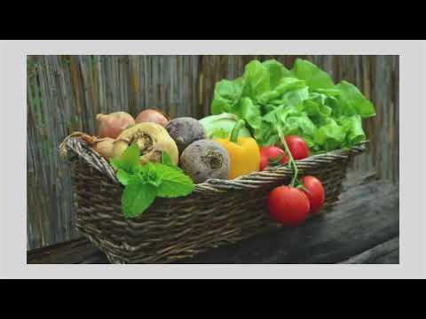 The Ultimate Guide to Refrigerated Couriers for Temperature-Controlled Logistics