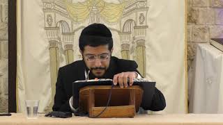 דף היומי מסכת יומא דף יב מפי הרב יחיאל כהן