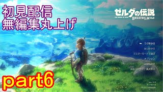 【初見配信】ゼルダの伝説　ブレスオブザワイルド　6日目【無編集丸上げ】