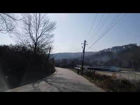 Gusoieni - comuna plina de maracini