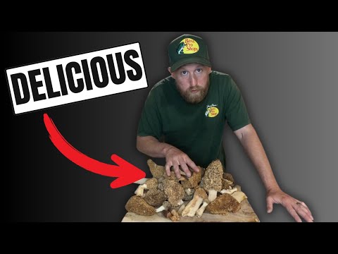 My Simple Method For Perfect Morel Mushrooms Every Time!