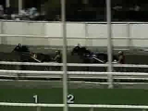 1989 Hambletonian Park Avenue Joe/Probe DH