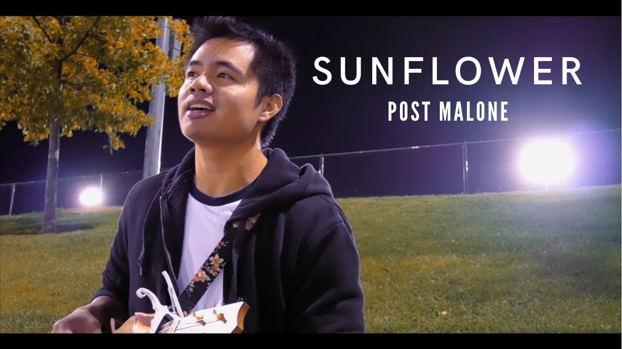 Promotional video thumbnail 3 for Nico Perez
