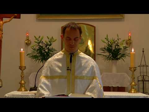 Videó előnézet