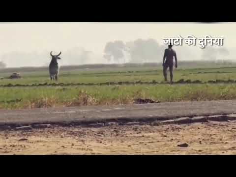 धारा 144/ jaat new song /जाटो का अड्डा#