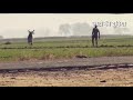 धारा 144 Jaat New Song जाटो का अड्डा