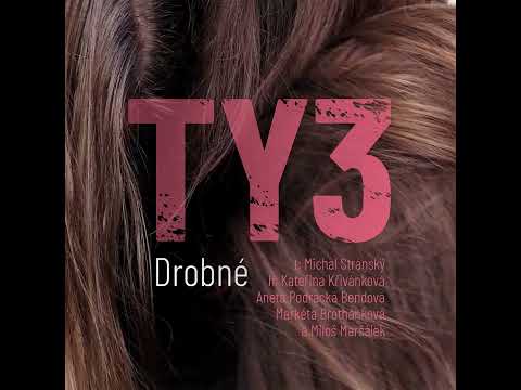 Podpořte vydání hudebního minialba TY3 a Michal Stránský: Drobné