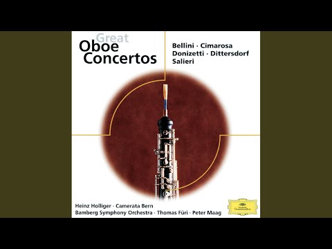 Bellini: Oboe Concerto in E-Flat Major - Maestoso e deciso - Larghetto cantabile - Allegro...