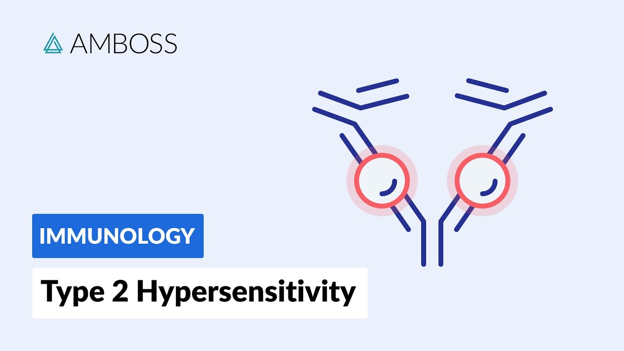 Antibody-Dependent Cell-Mediated Cytotoxicity: Type II Hypersensitivity Reaction
