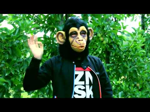 Atze Party 2017 - Trailer