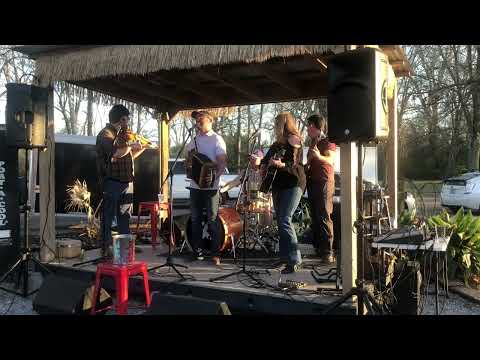 Balfa Toujours at Bayou Teche Brewing, Arnaudville, LA (February 24, 2024)