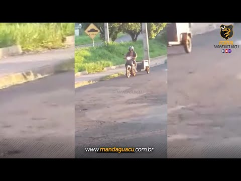 Homem é flagrado abandonando cachorro em Mandaguaçu