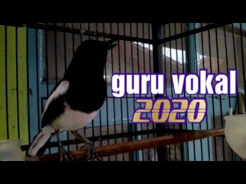 Ngeplong Novyj Trend Smotret Onlajn Na Sajte Trendovi Ru